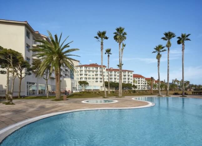 済州島 チェジュ島 おすすめ人気ホテルランキング10選